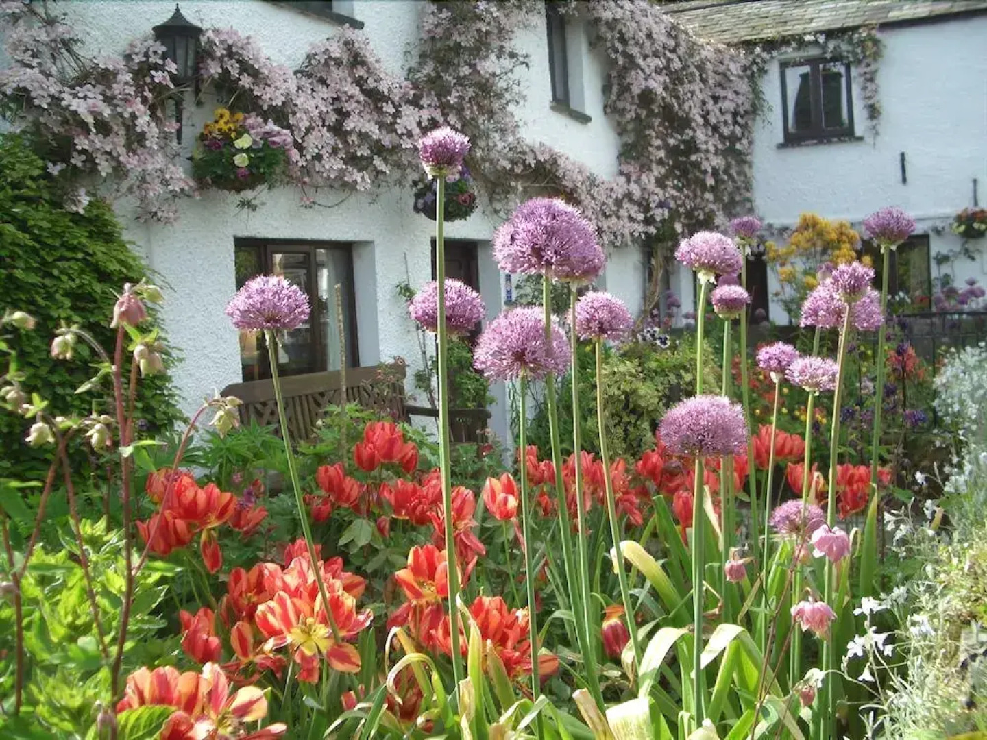 Buckle Yeat Guest House