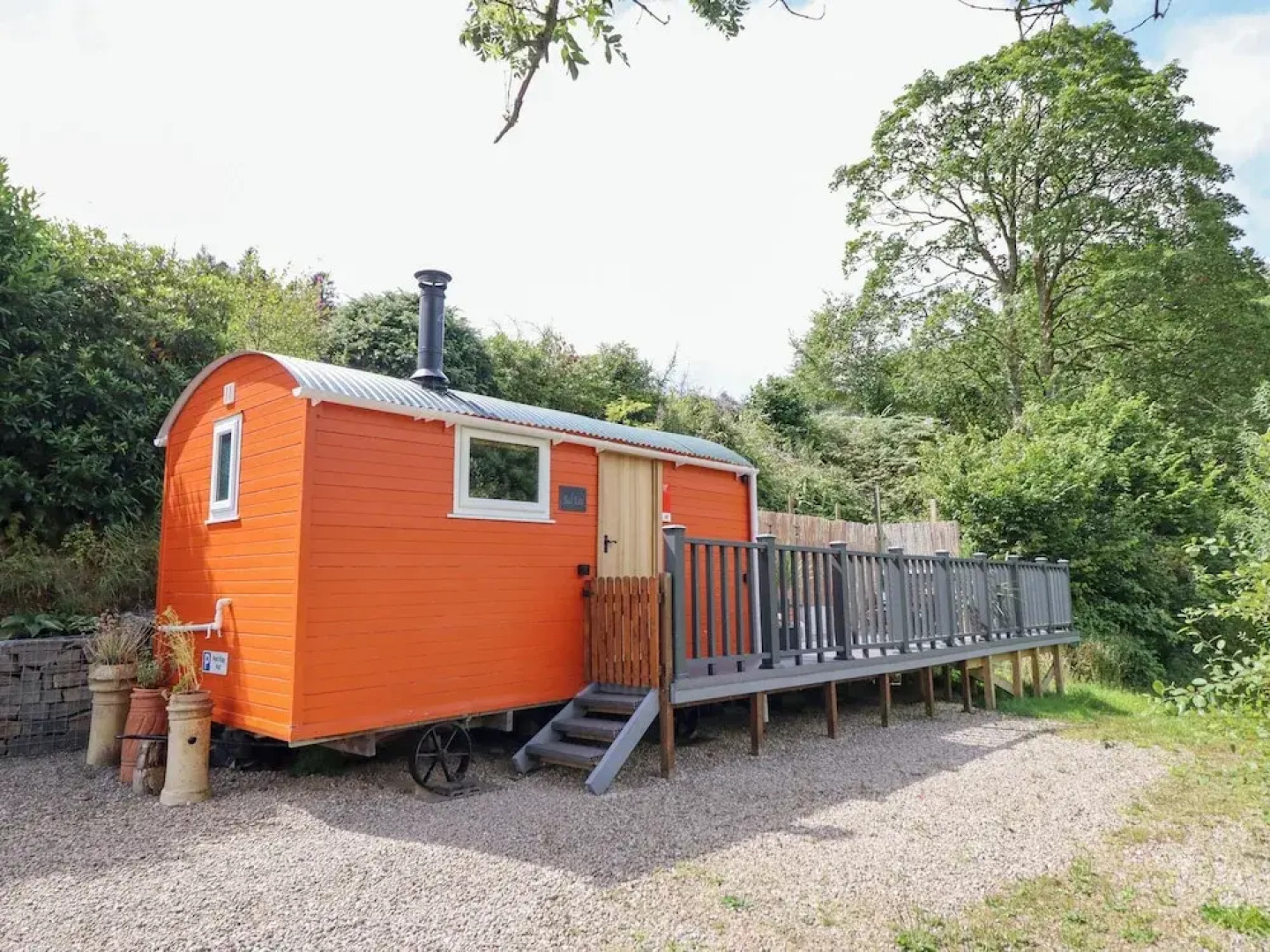 Red Kite at Wild Valley Huts
