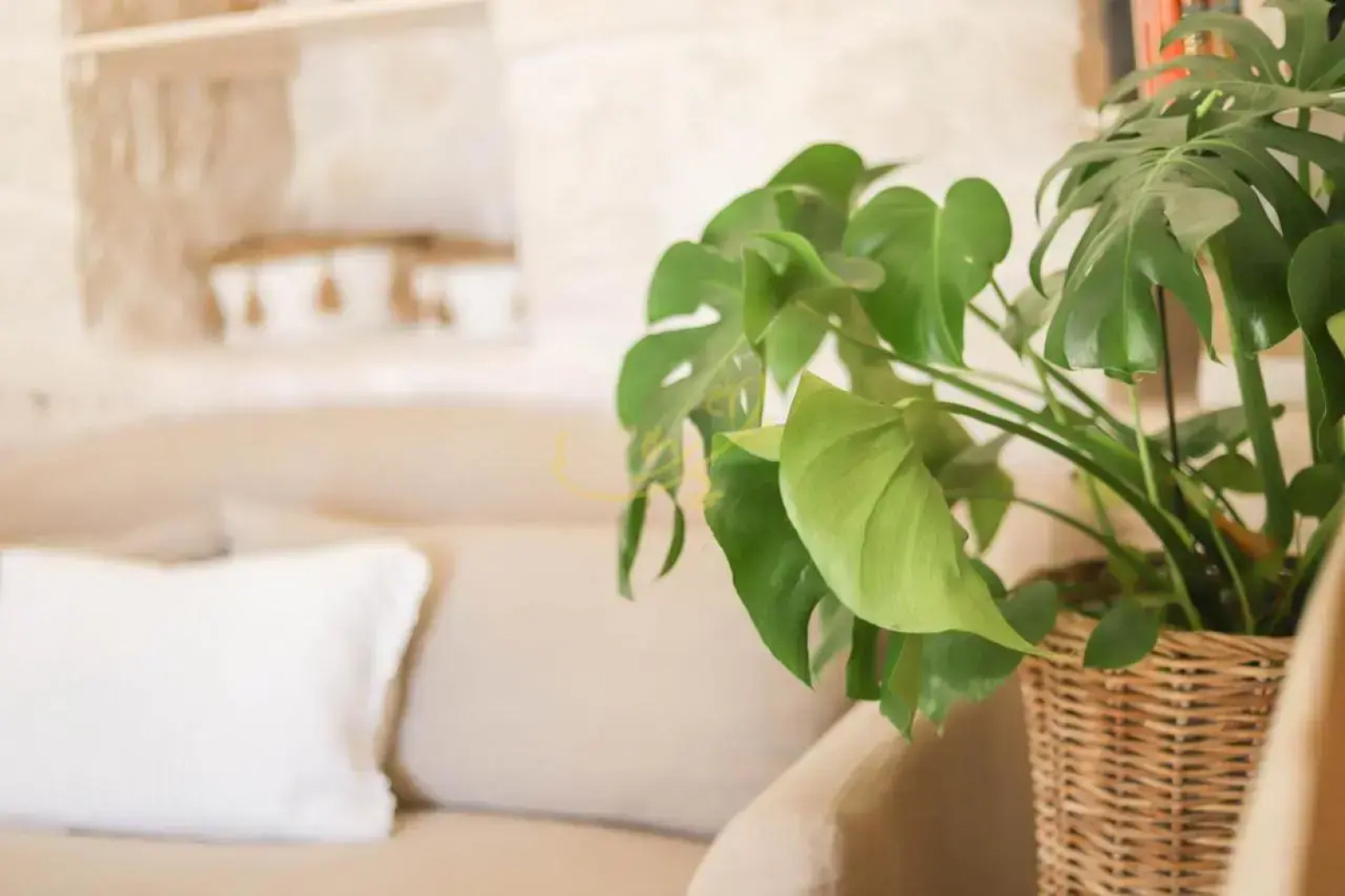 Trulli Dimore - Trulli Il Bergamotto