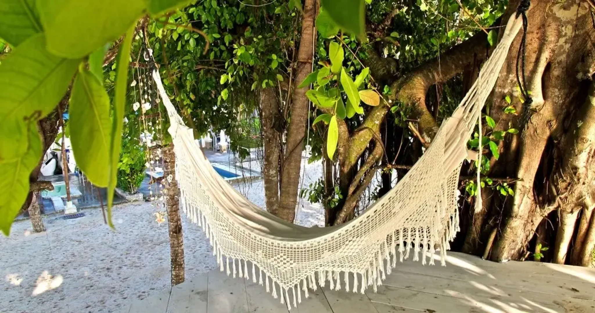 Hollow Tree's Resort