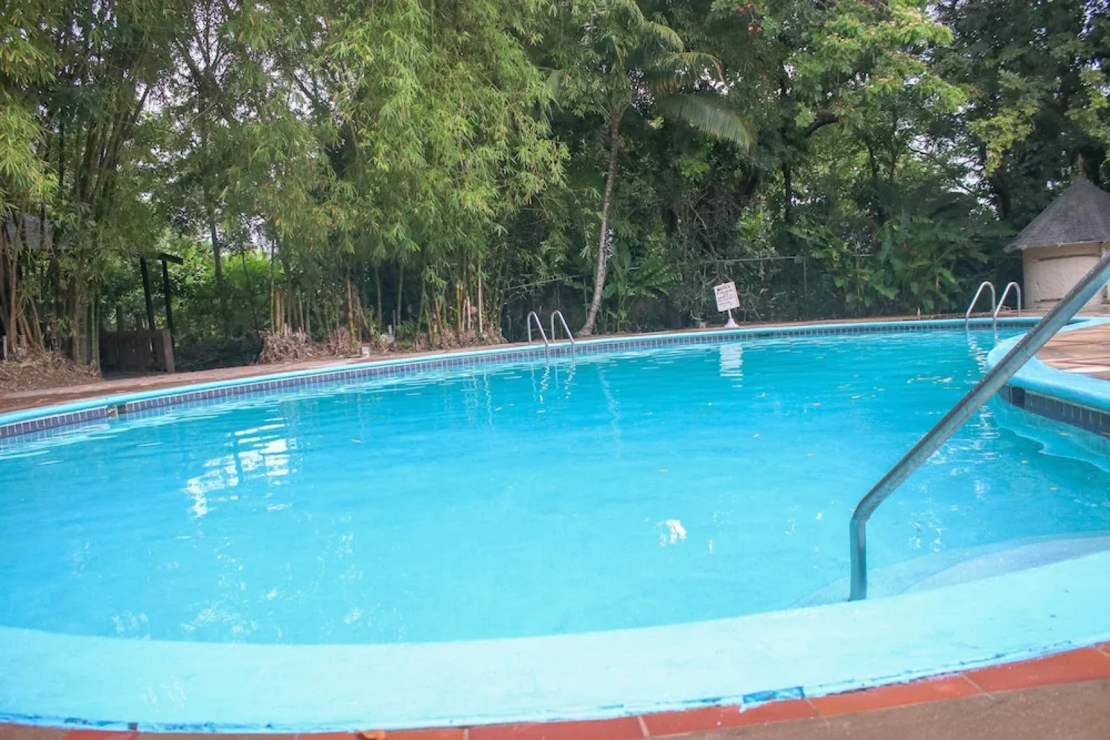 The Blue Mahoe Treehouse