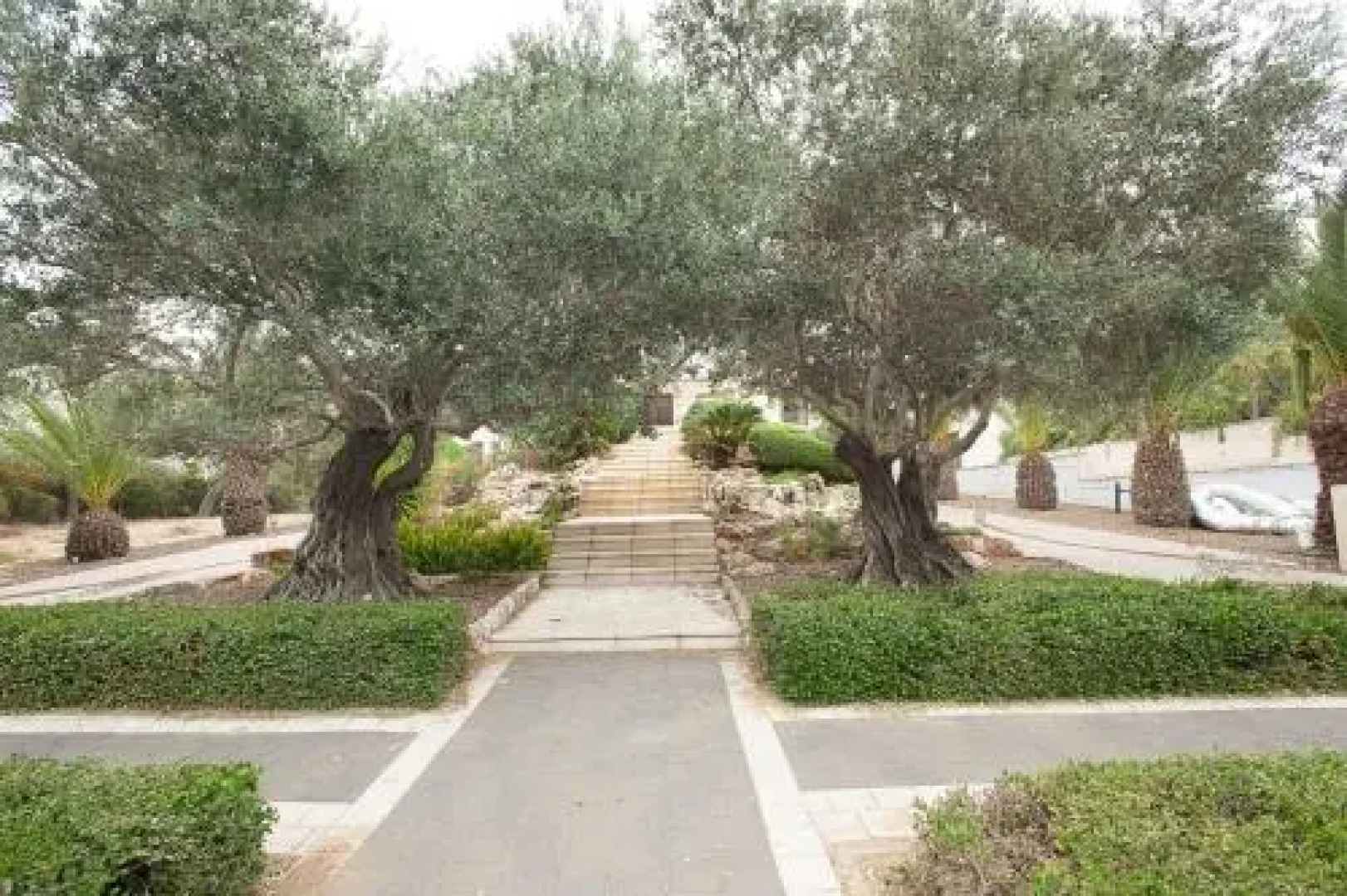 Romantic suite in Caesarea