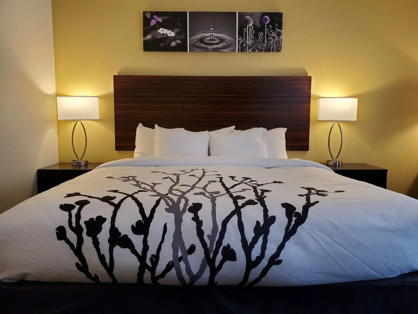 Sleep Inn And Suites