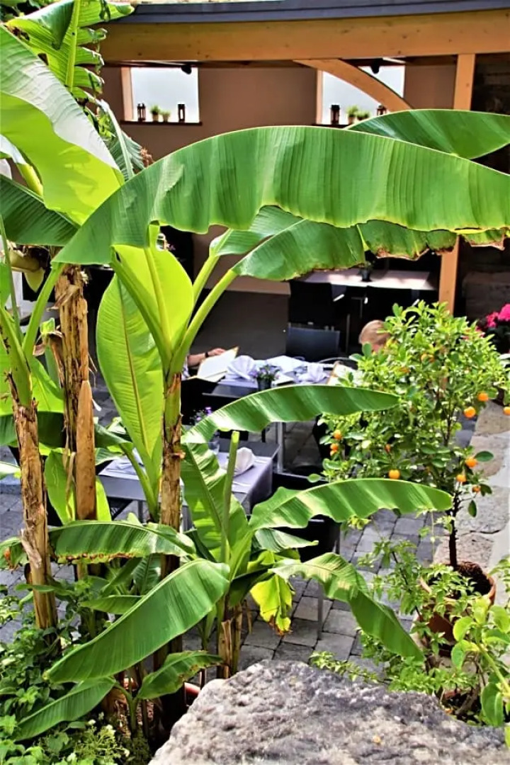 Einhorn Hotel Restaurant Weinbar