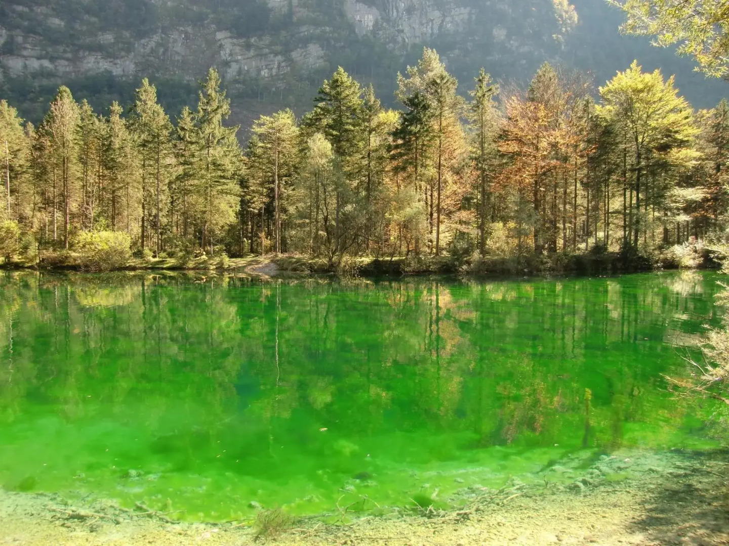 Villa Mühlei bei Salzburg - Walters Appartment