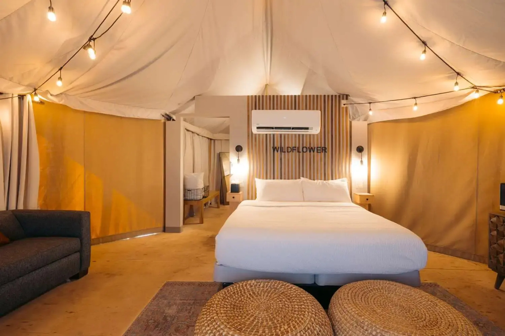 Zion Wildflower, BW Premier Collection