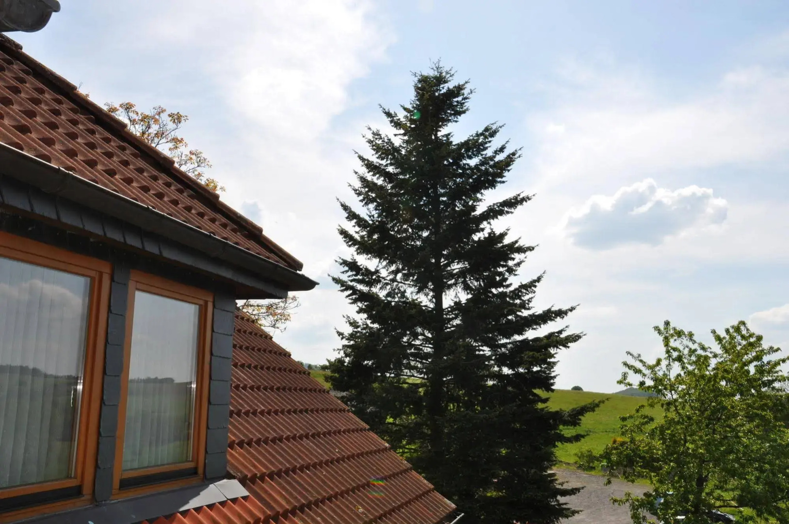 Rhön Hotel Sonnenhof - Restaurant & Café