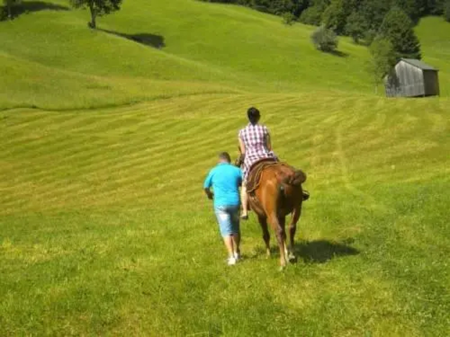 Pensiunea Valea Mariilor