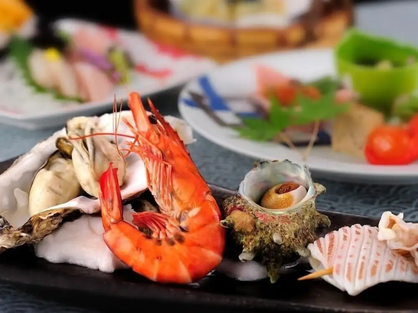 Hotel Hoho "A hotel overlooking the Echigo Plain and the Yahiko mountain range"