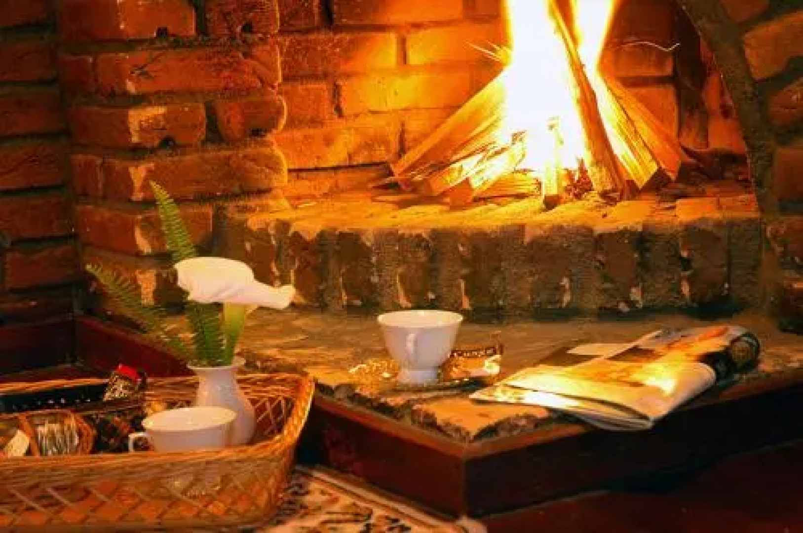 Verde que te quero Ver-te