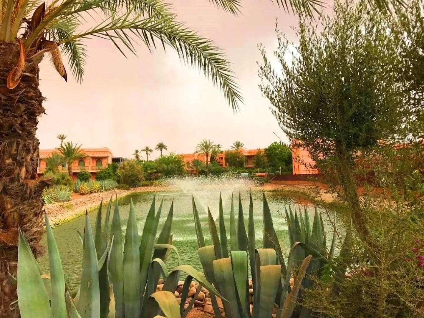 Beautiful apartment with Pool Palmeraie