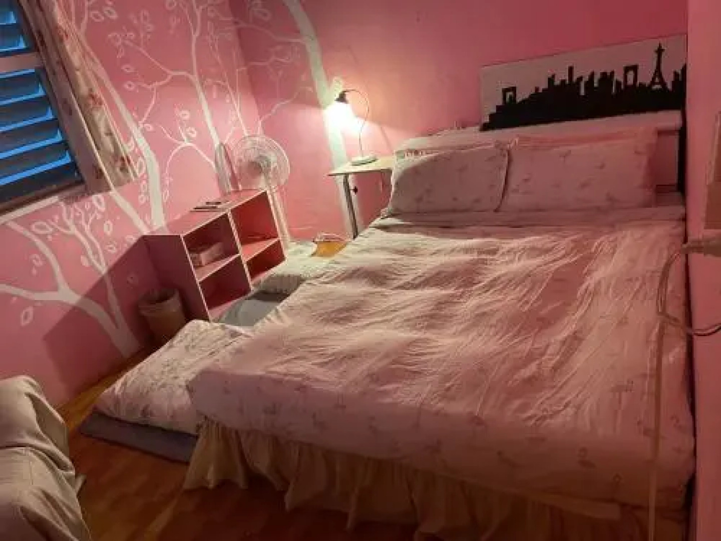 Backpacker Dog Hostel