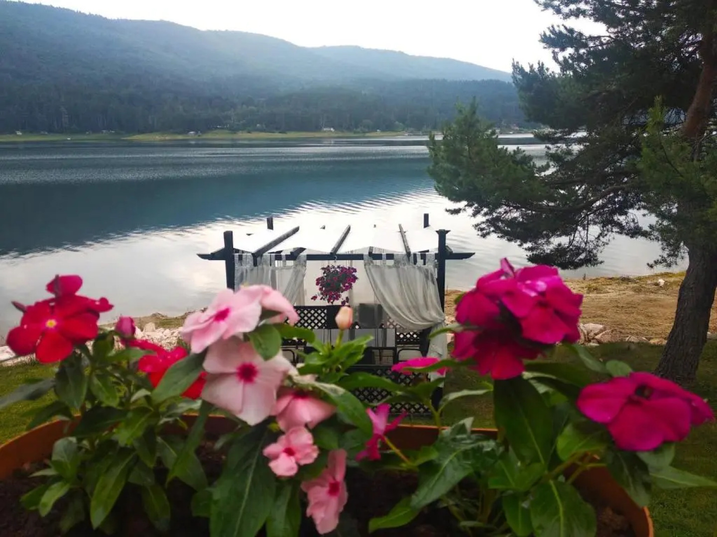 Family Hotel Spa Hebar