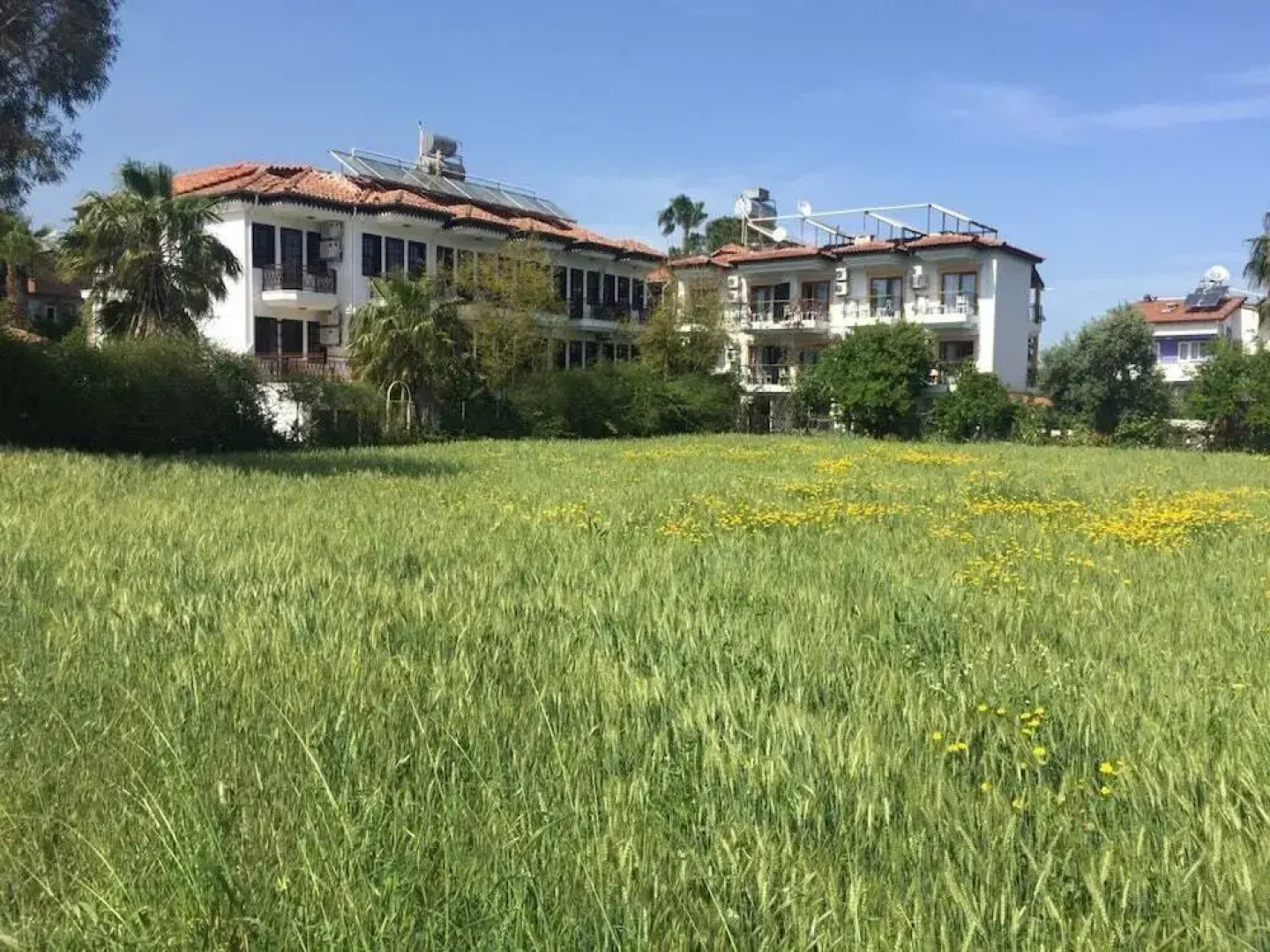 Aloha Hotel