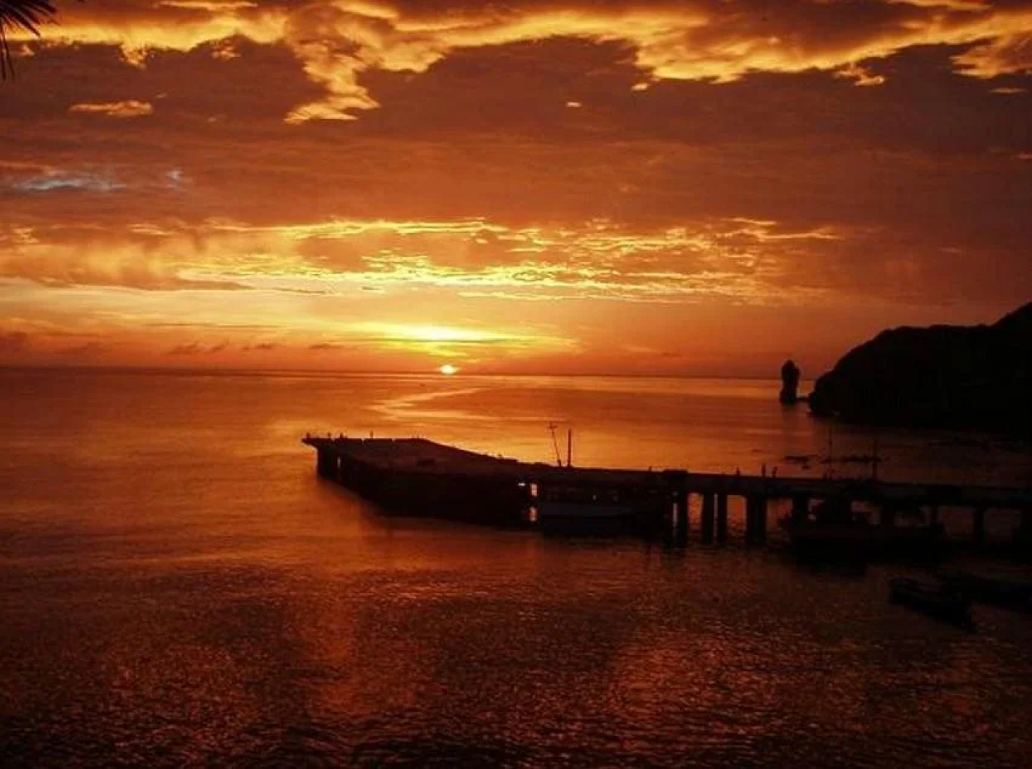 shanedel's inn & café