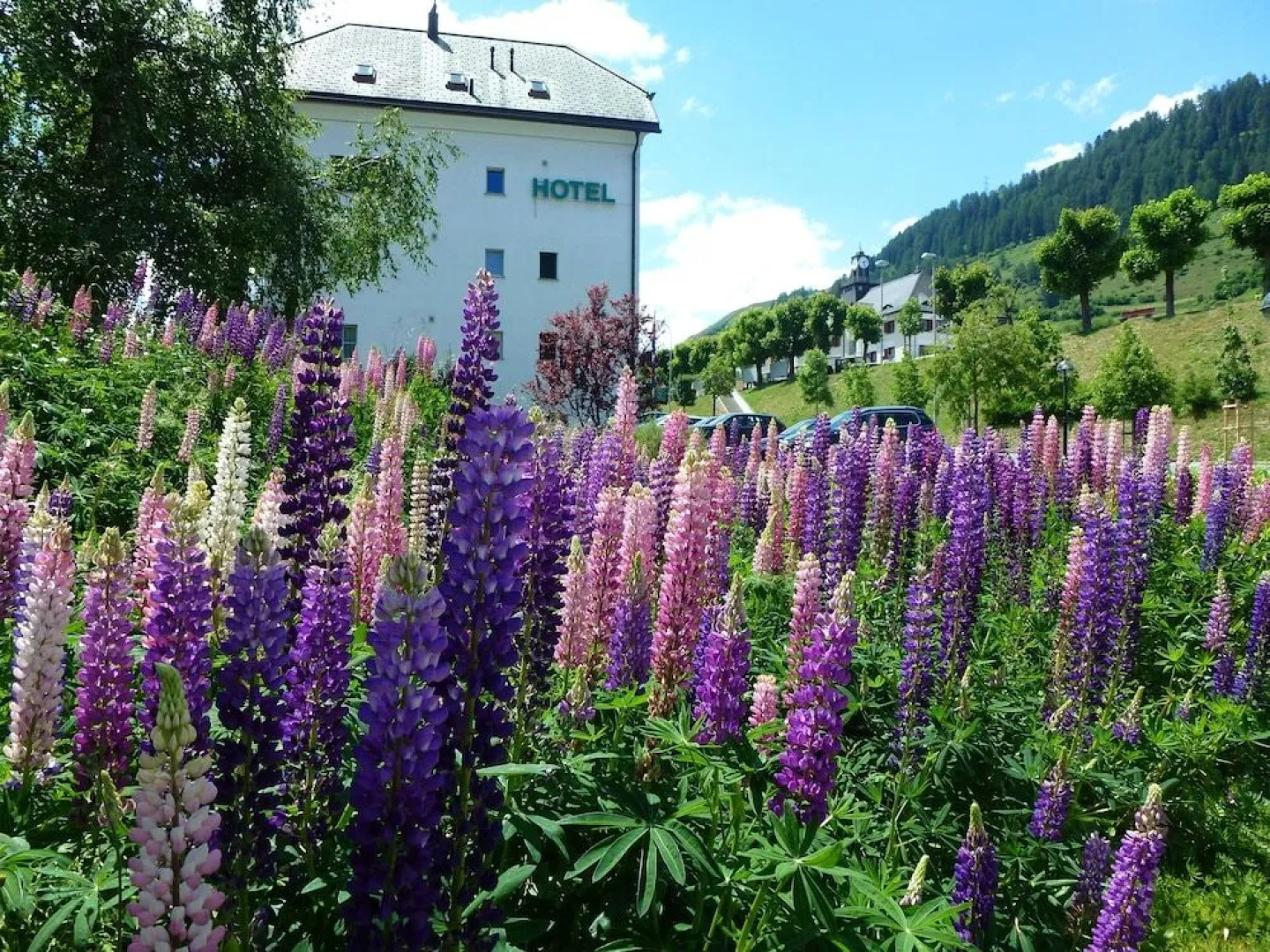 Typically Swiss Hotel Altana