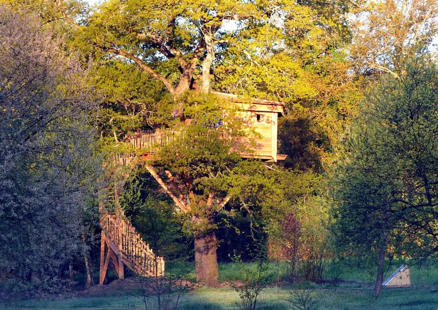 La Cabane Du Vieux Chêne