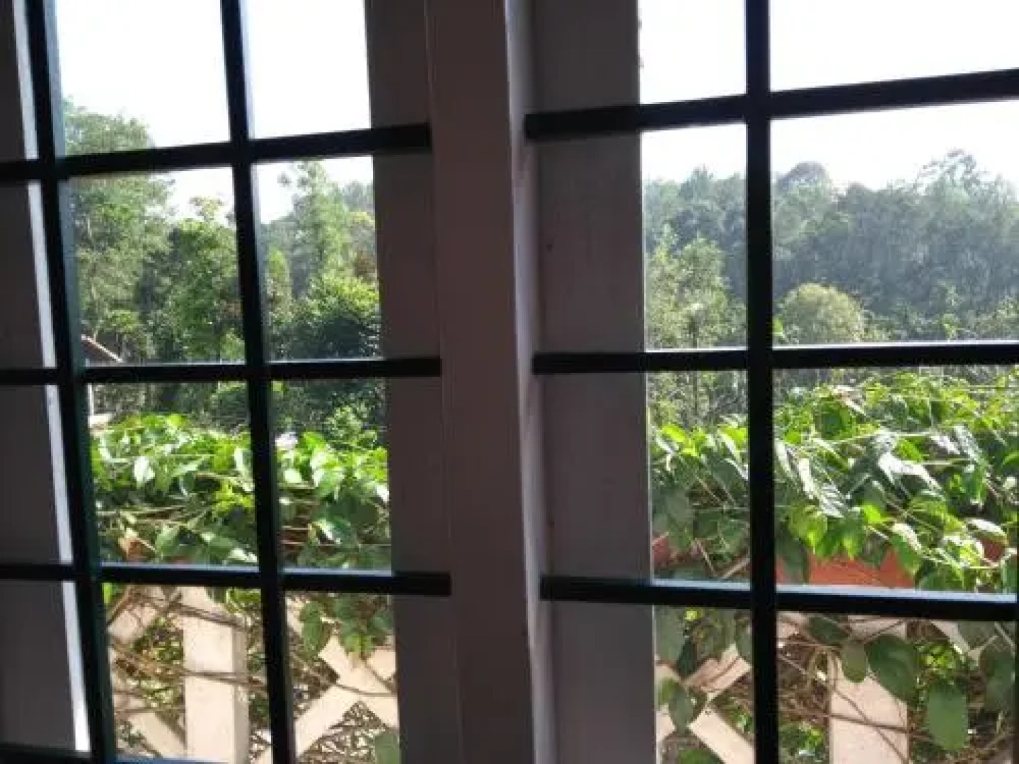 Coorg 4 C's Little Paradise