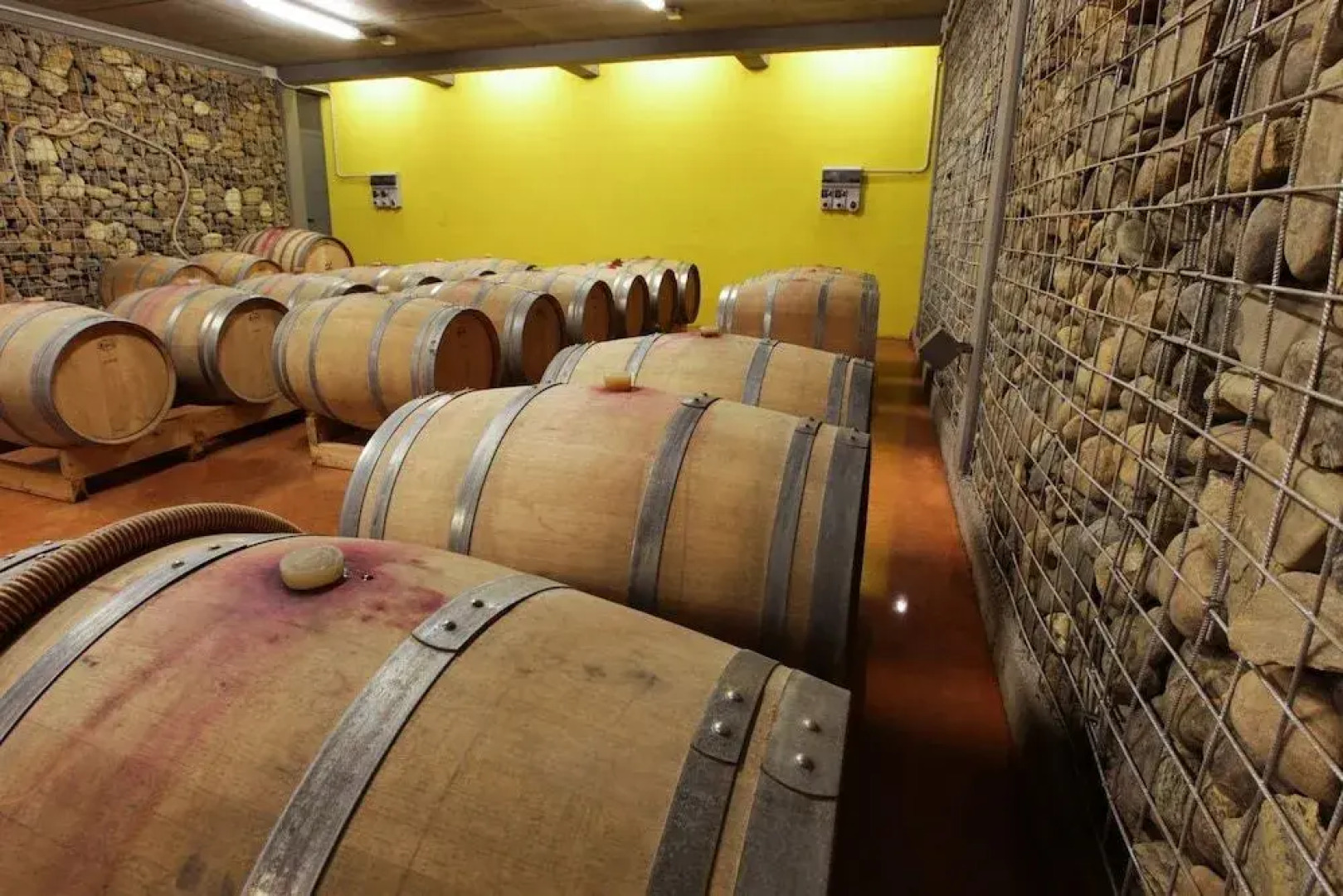 Eco Bio Agriturismo La Bella Vite - Camere Con Vigna