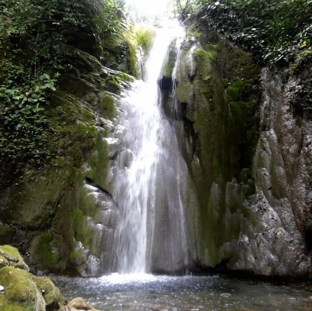 Finca Santa Mónica