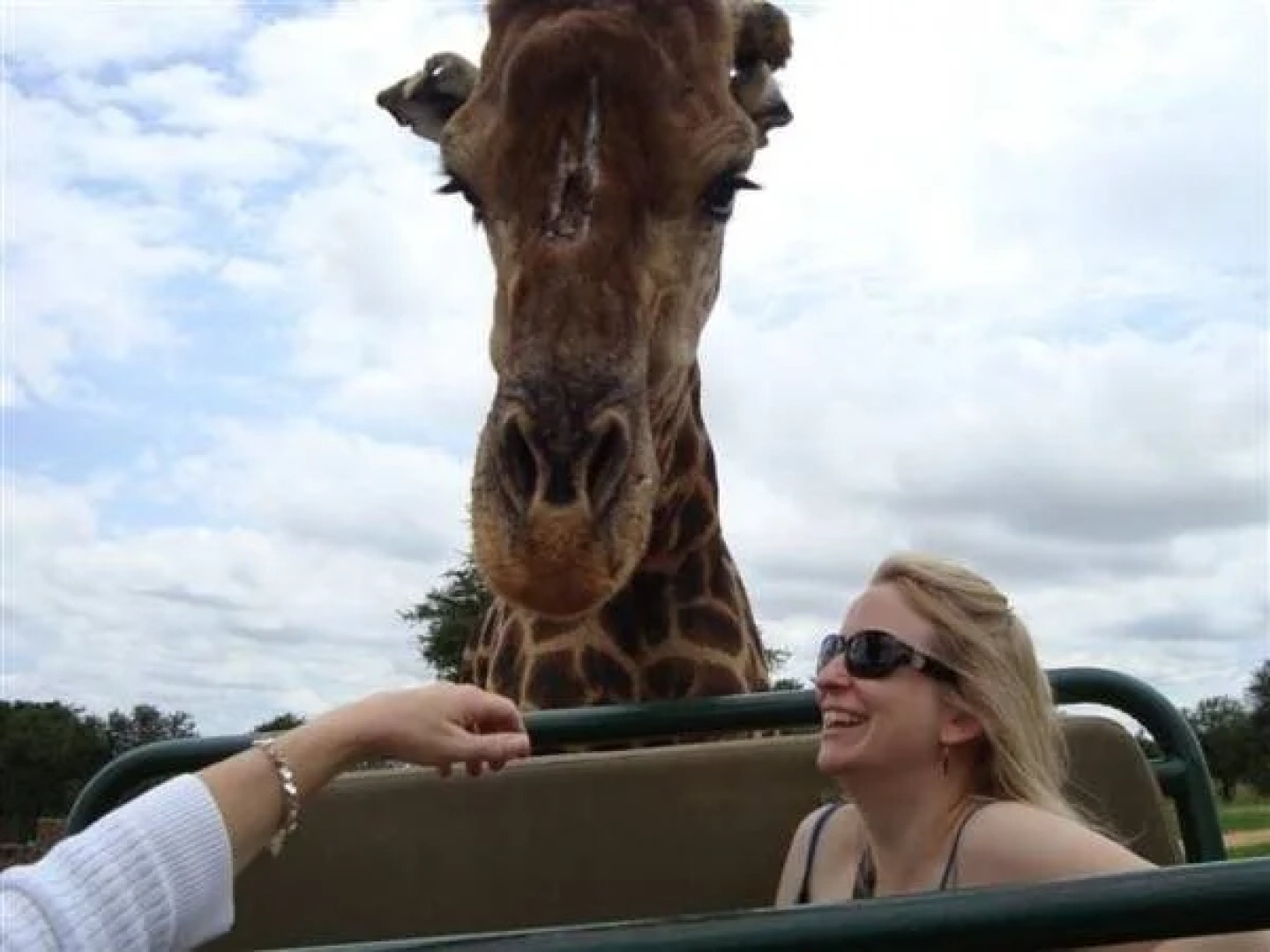 Avon Road Guest House & Tours