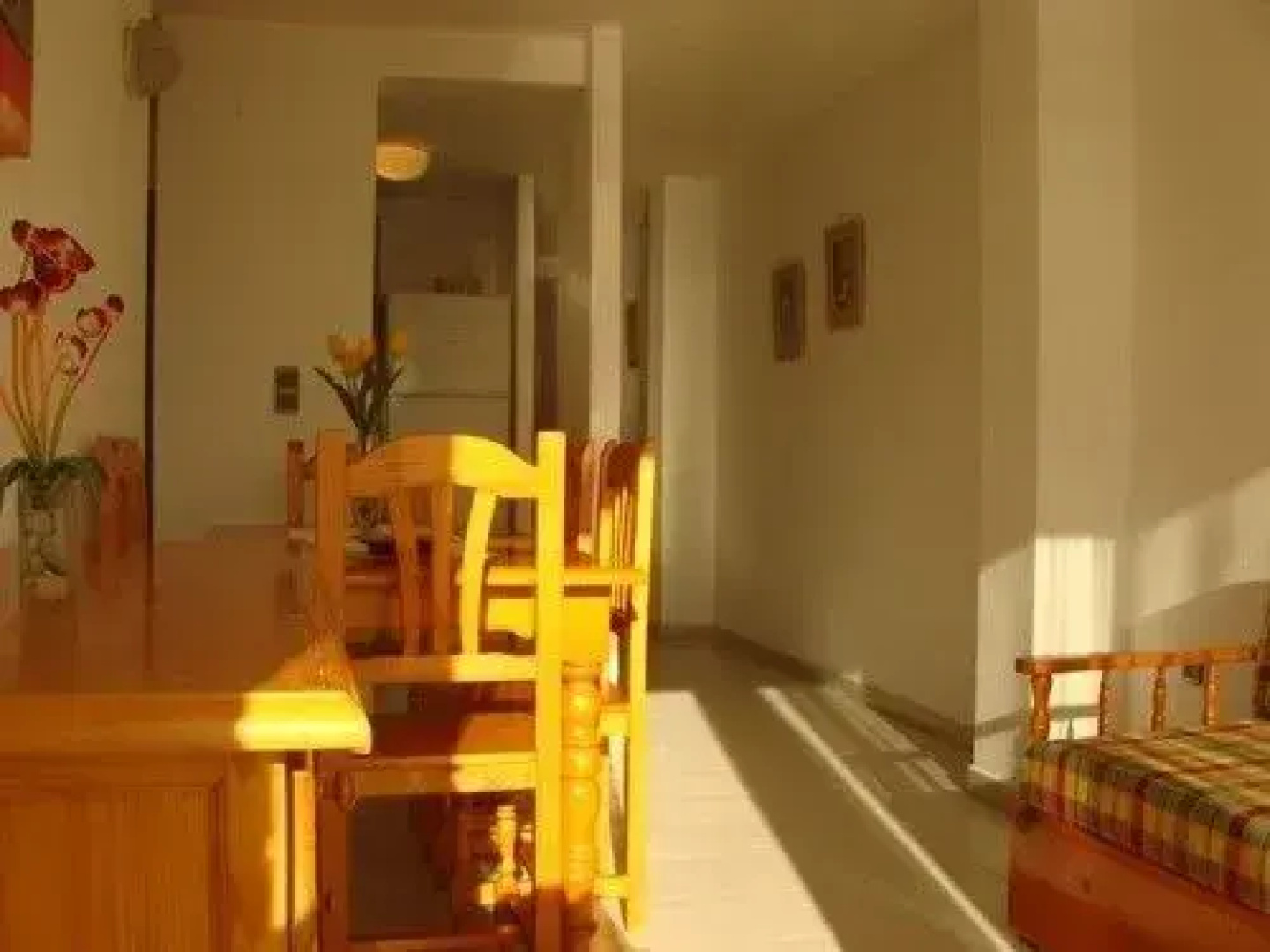 Apartments Forner