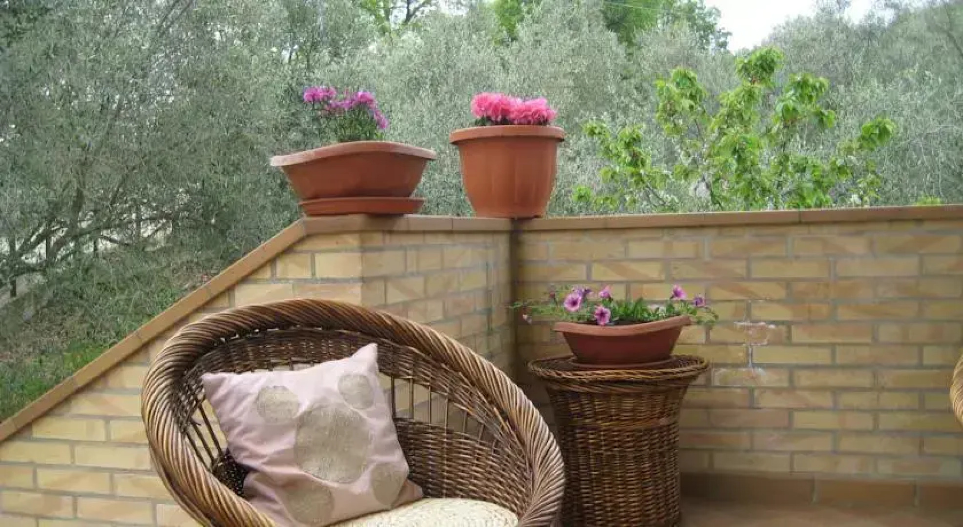 La Selva dellAmpolla