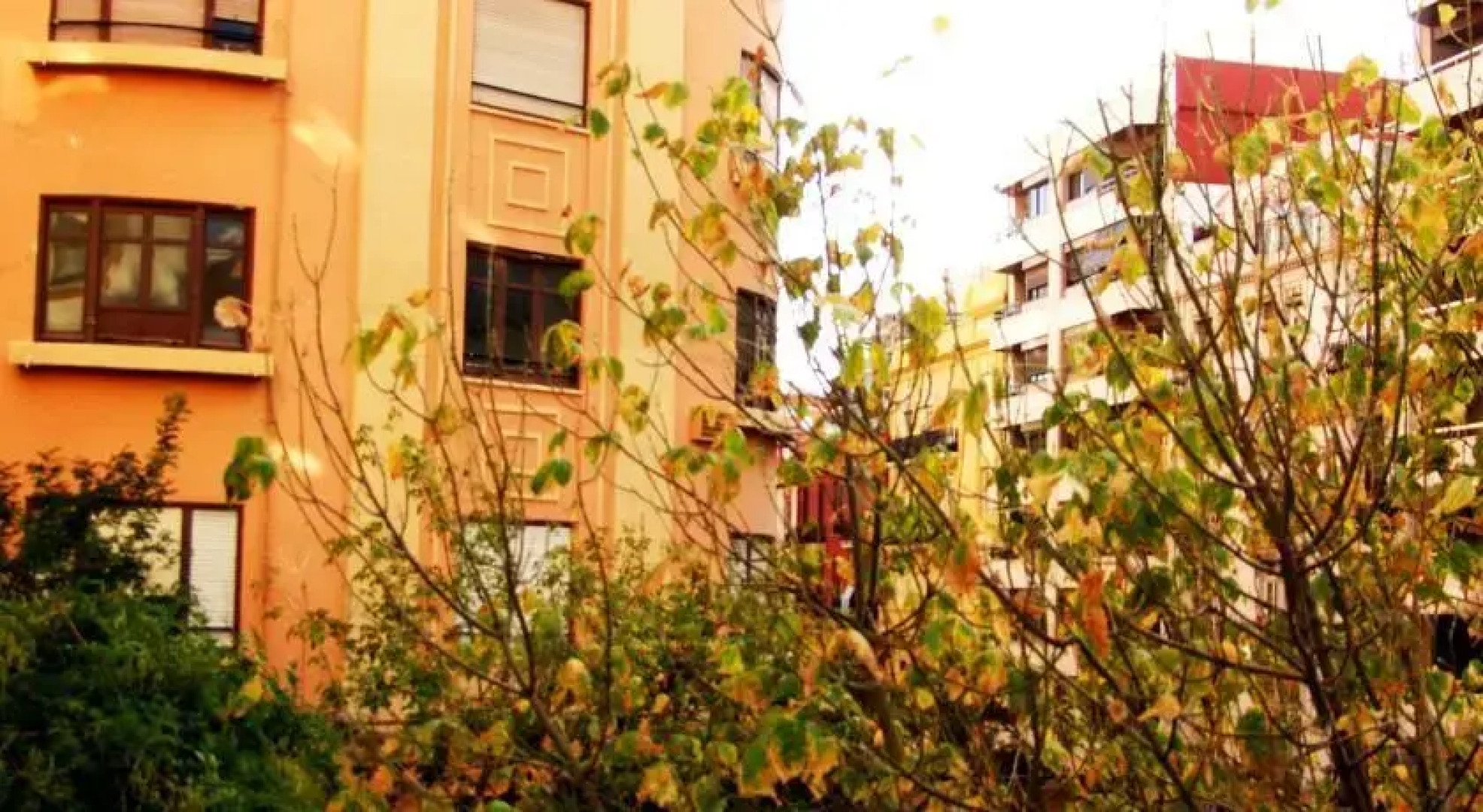 XY Travellers Guest House