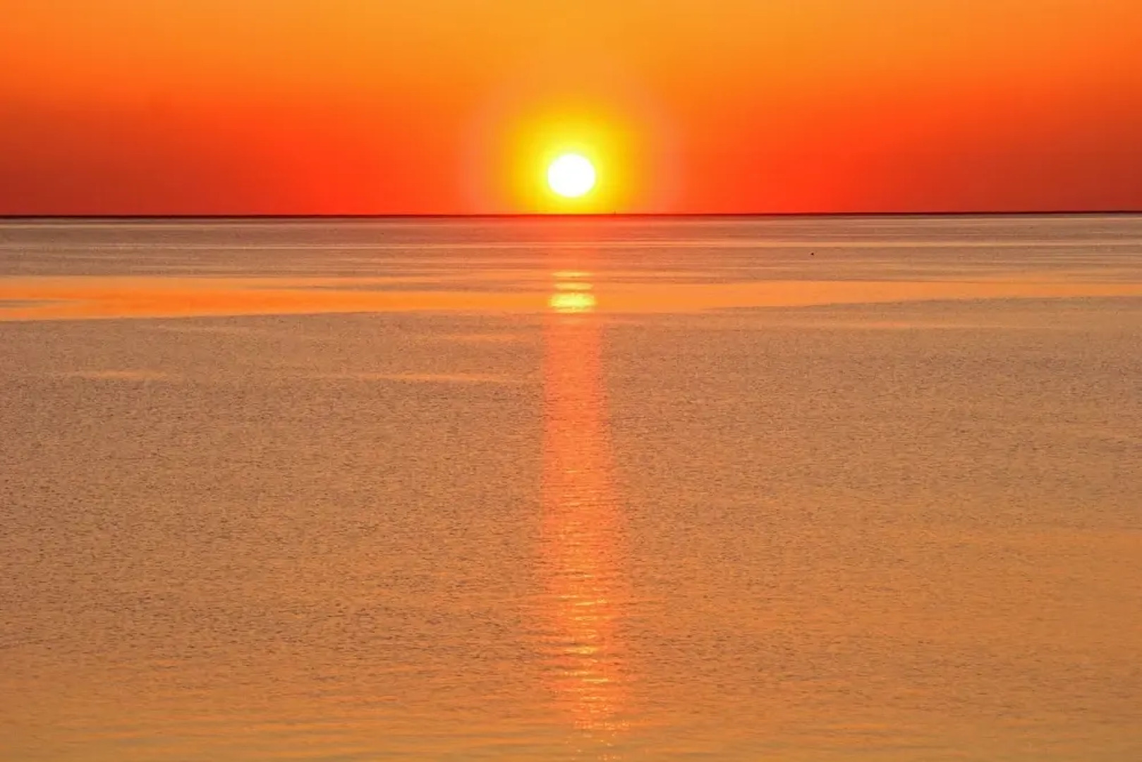 Affittimoderni Viddalba Stelle Marine - Vism10