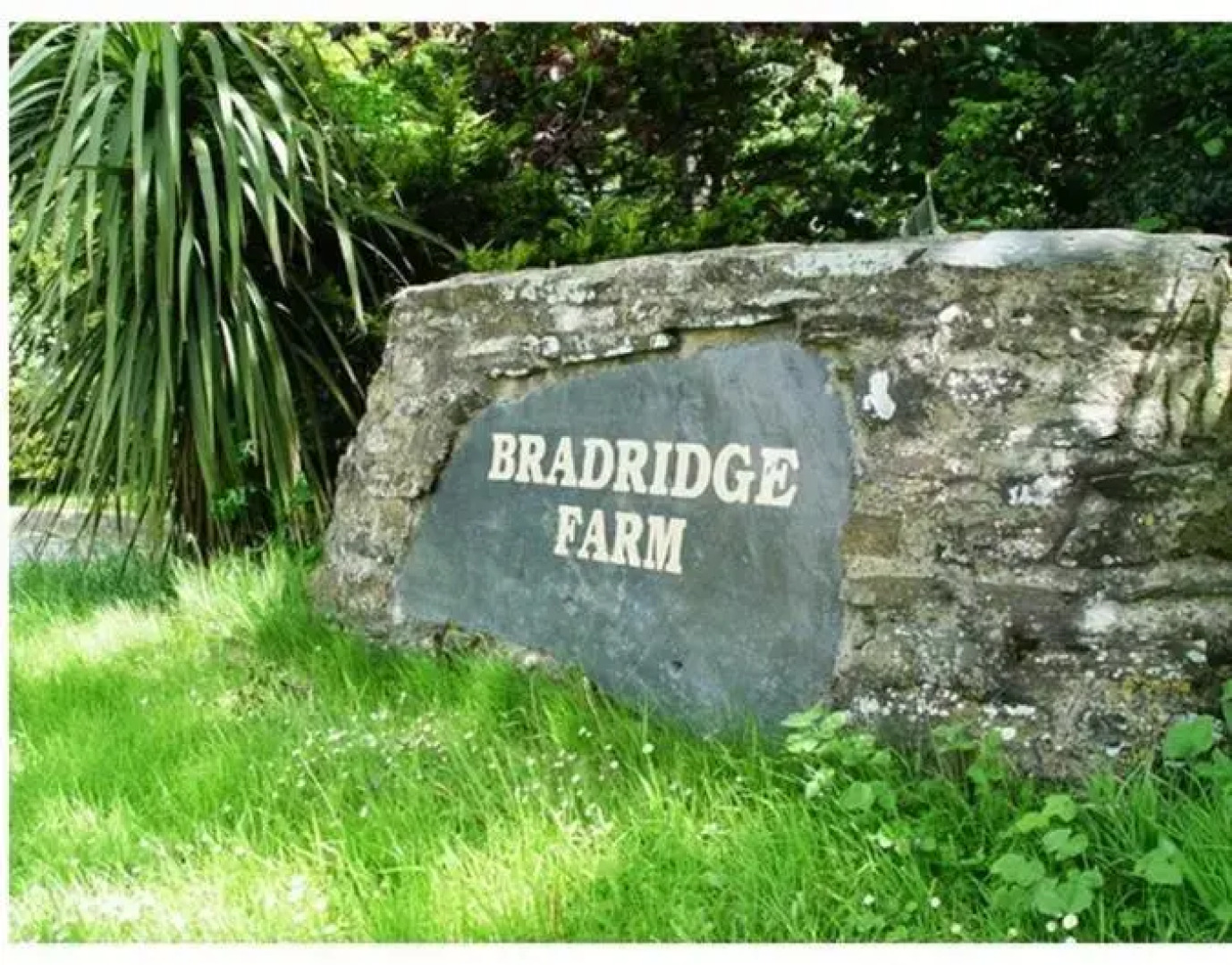 Bradridge Farm