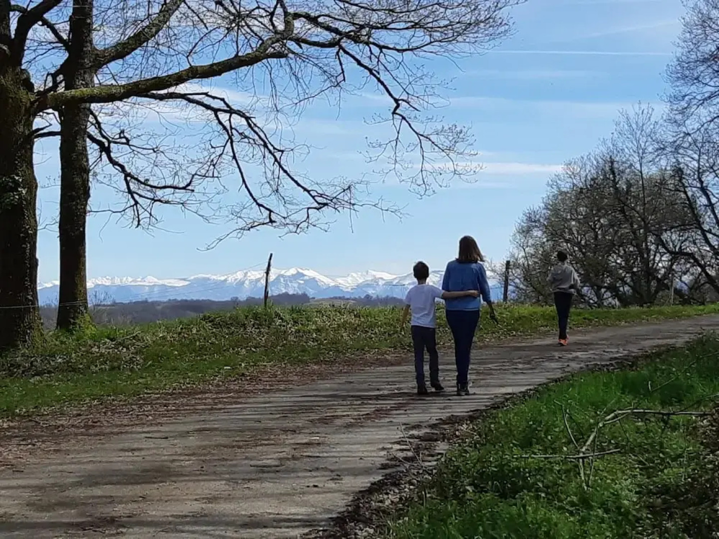 Gites de Bernet - Les Roses