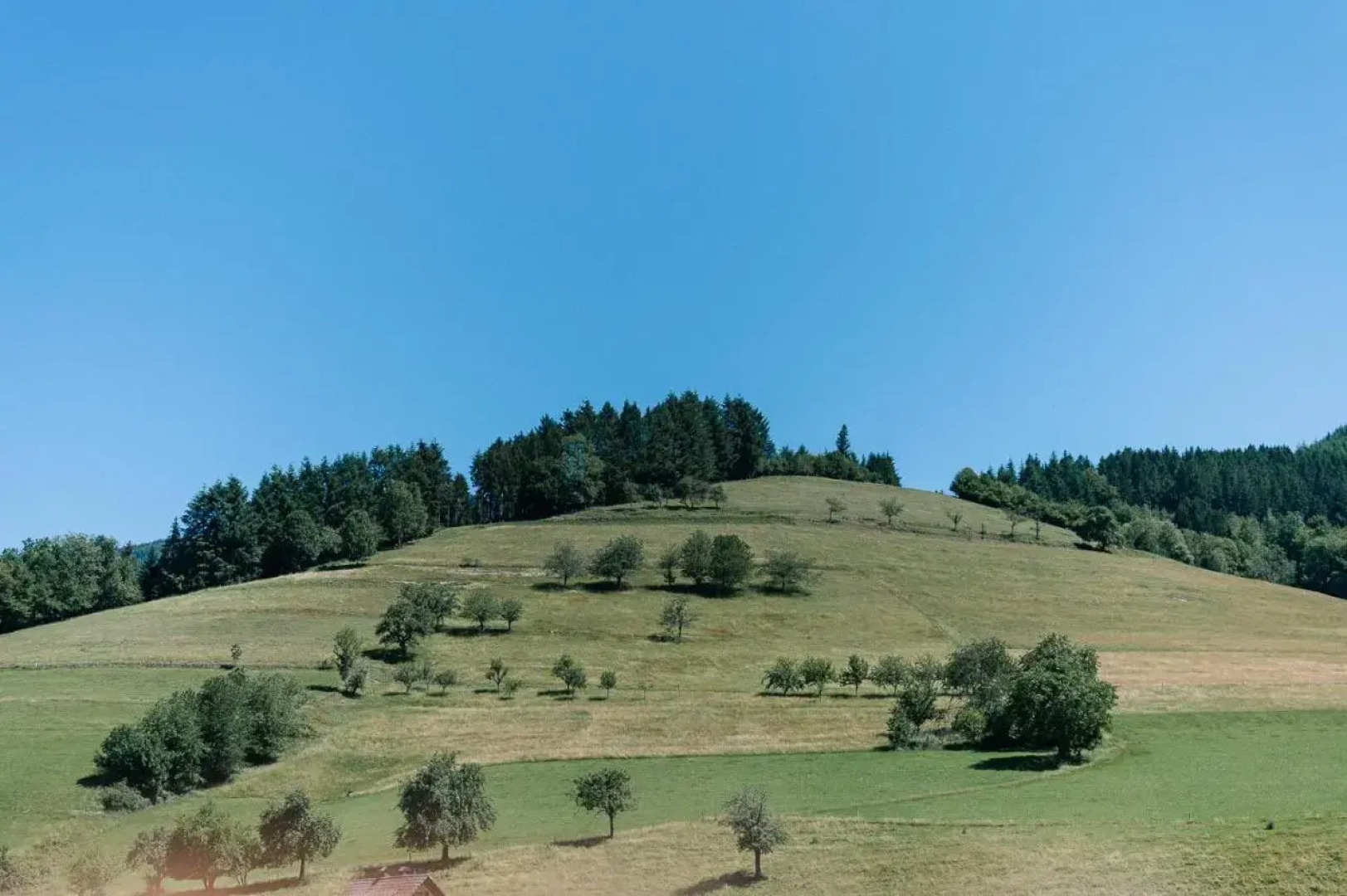 Rustikale 3 Zi.-FeWo Nähe Freiburg 70qm