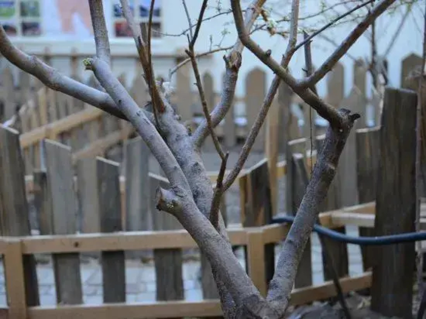 Yuanfang Family Courtyard Inn