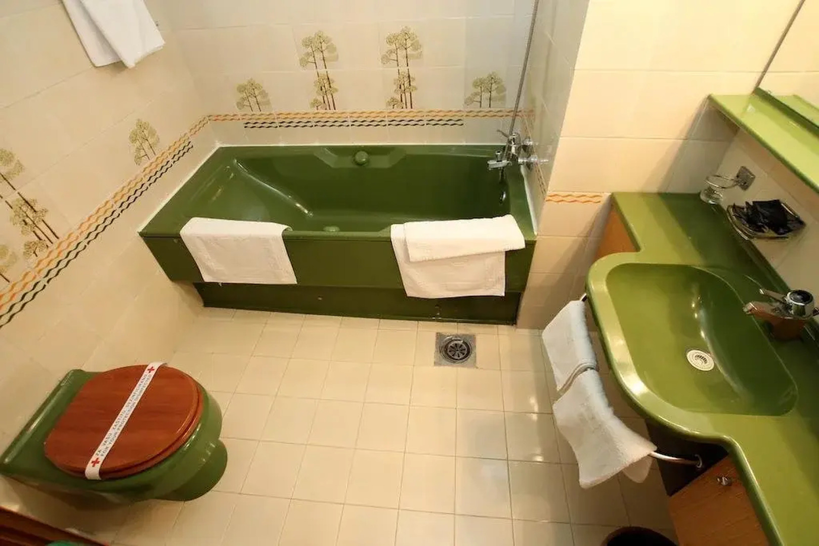 Institute "Dr Simo Milosevic" JSC Igalo