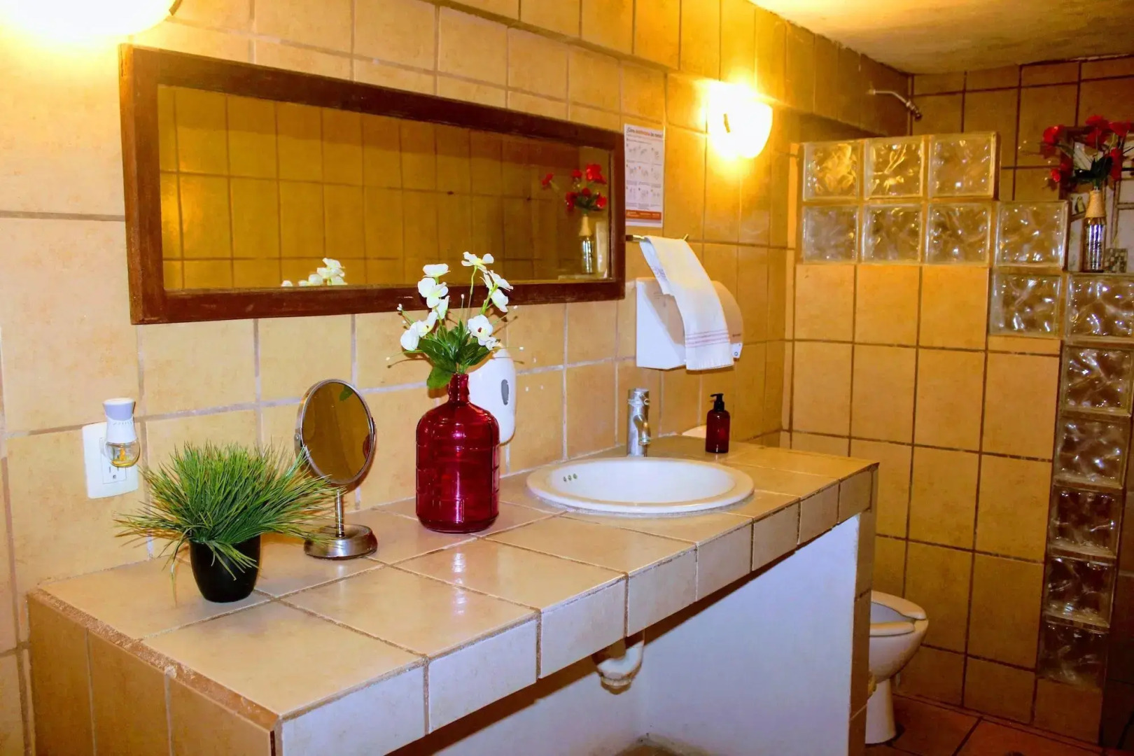 Hostal & Suites Pata de Perro