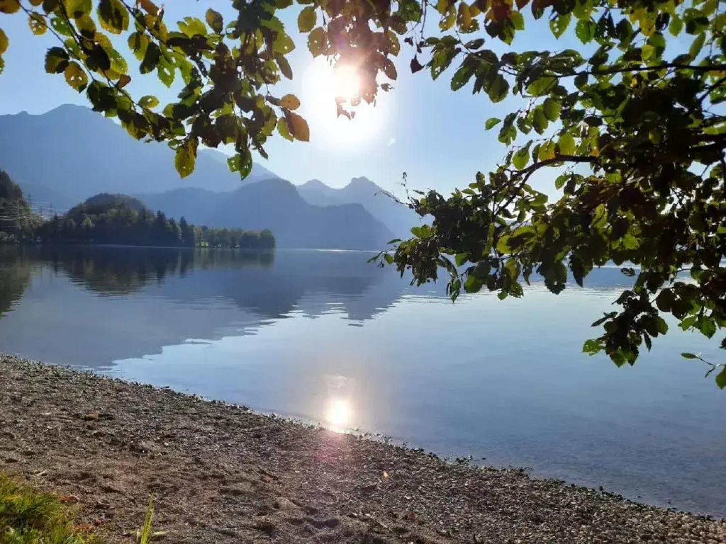 Ferienwohnung Birkennest