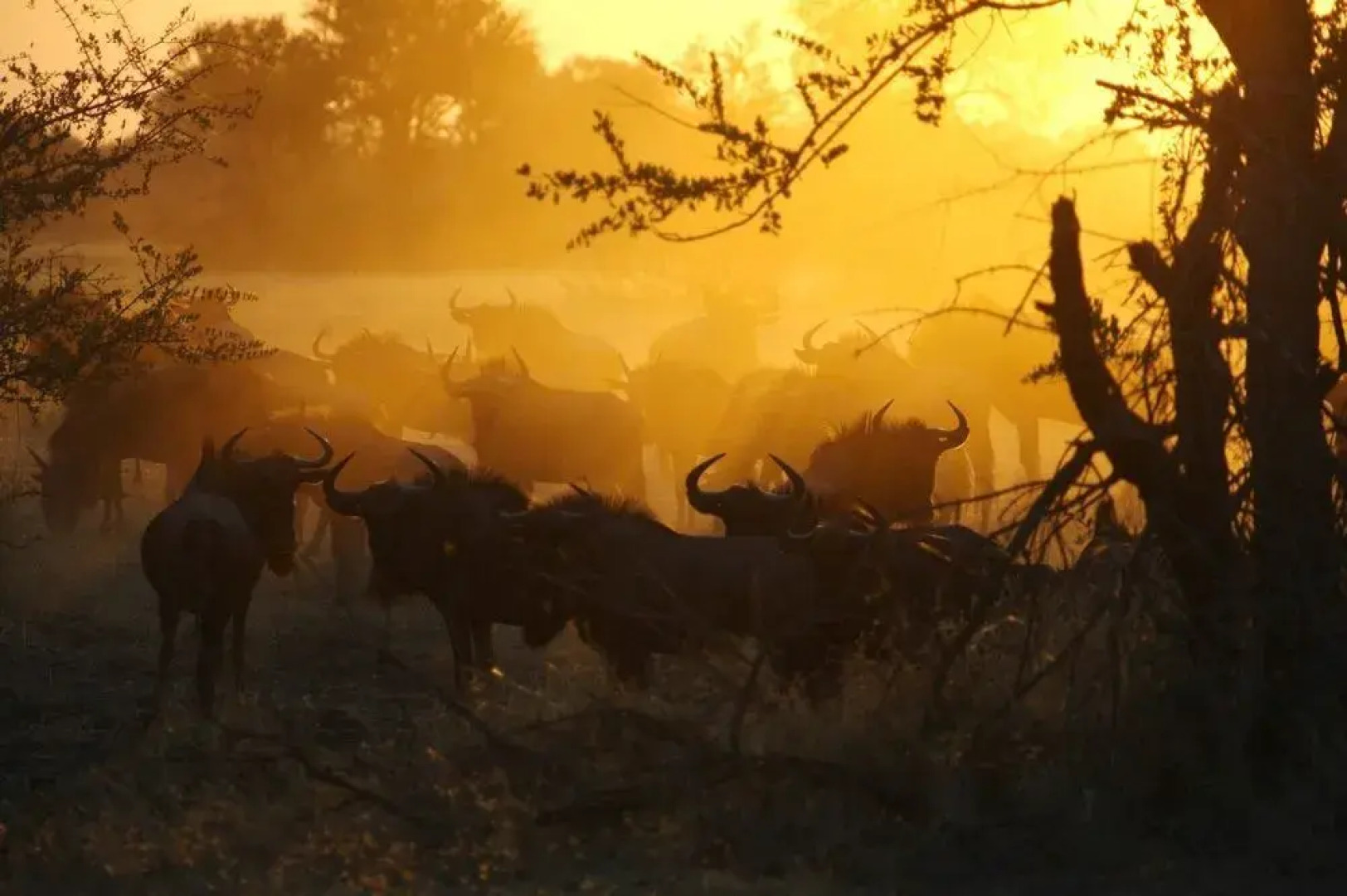 The Hide Safari Camp