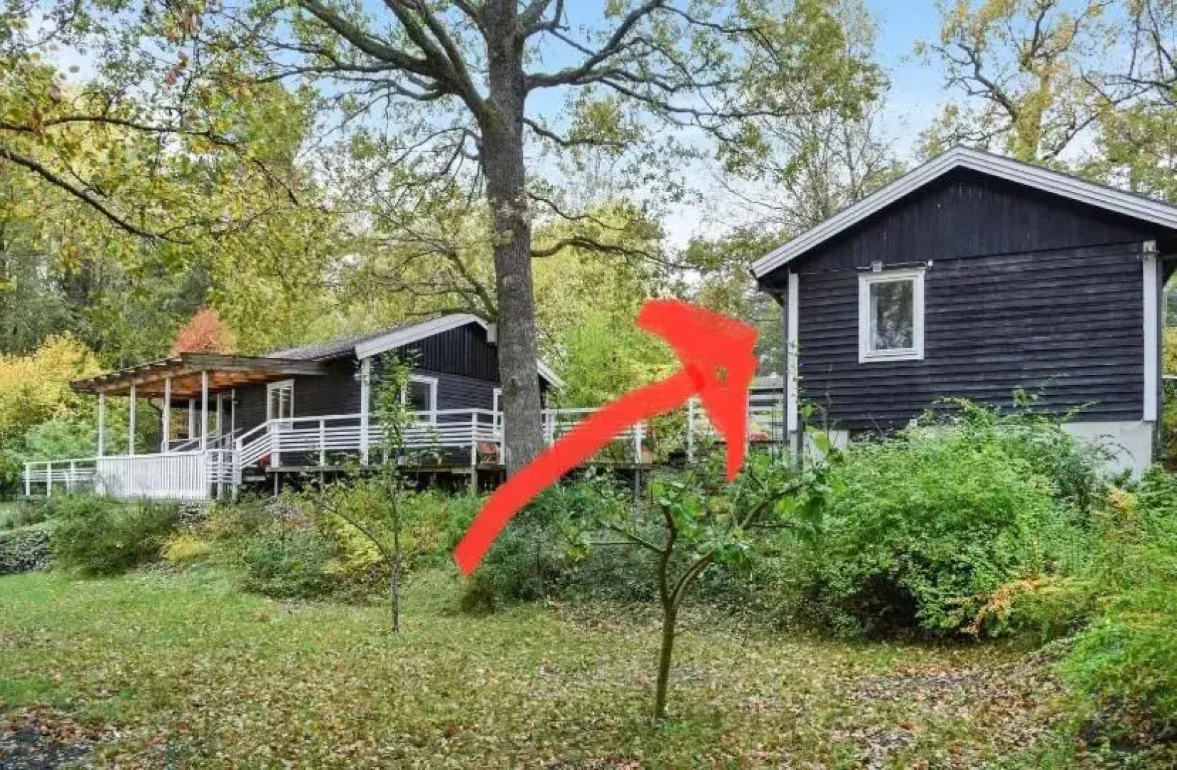 Modern cottage with sunny terrace