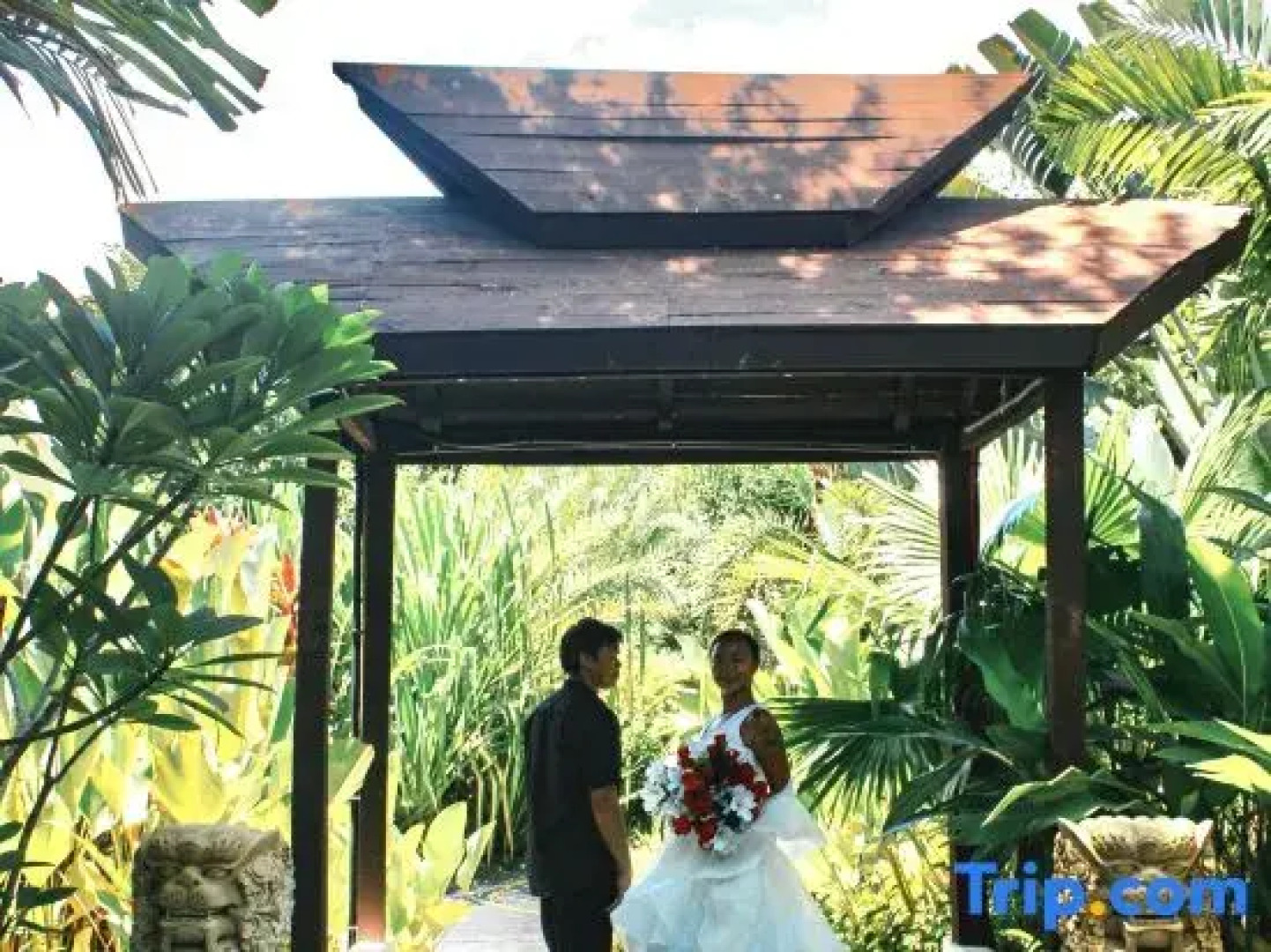 Carpe Diem Villas & Resort Dive & Stay resort