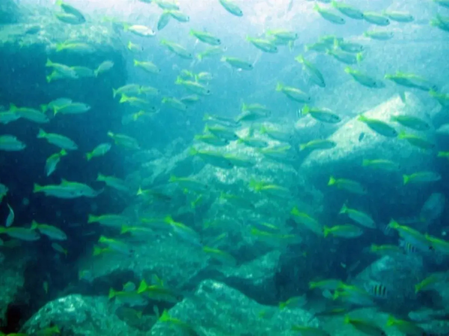 Deep Sea Resort Batticaloa