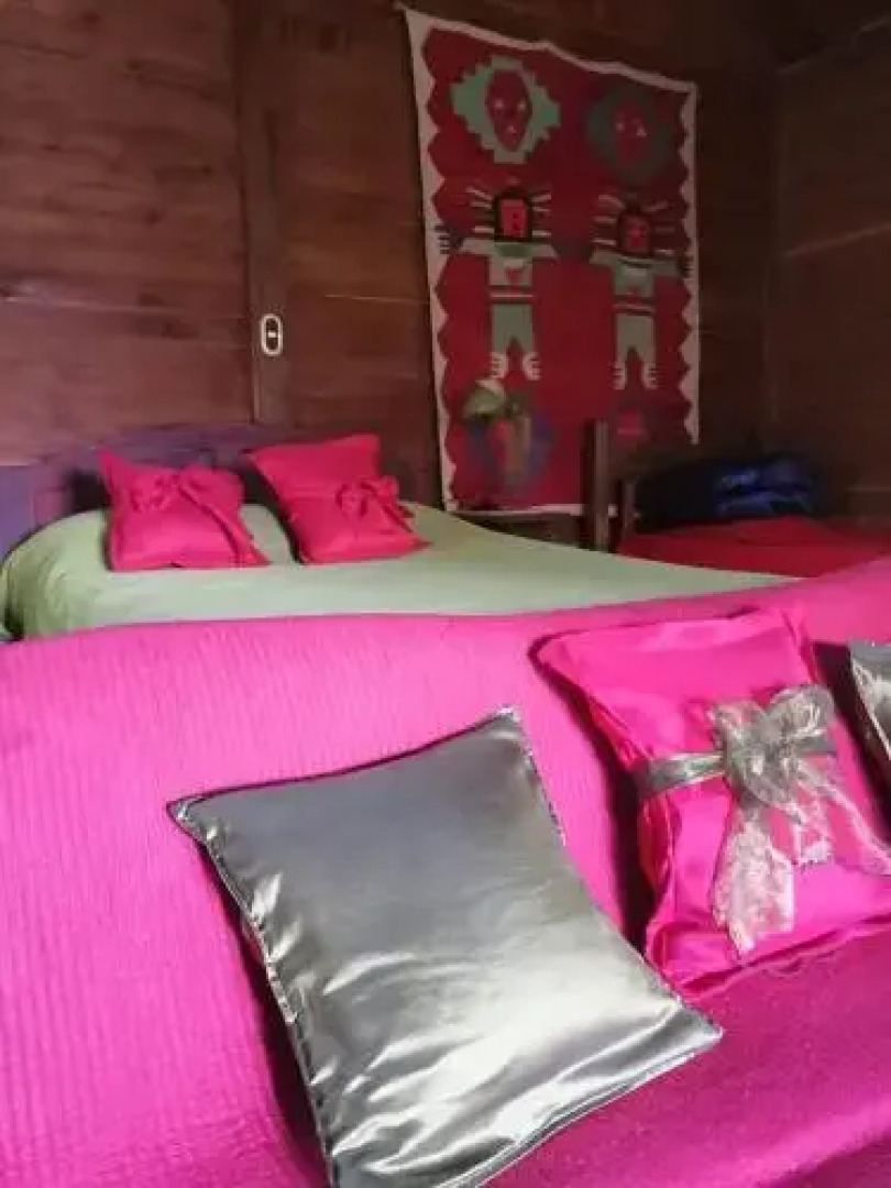 The House of Hummingbird