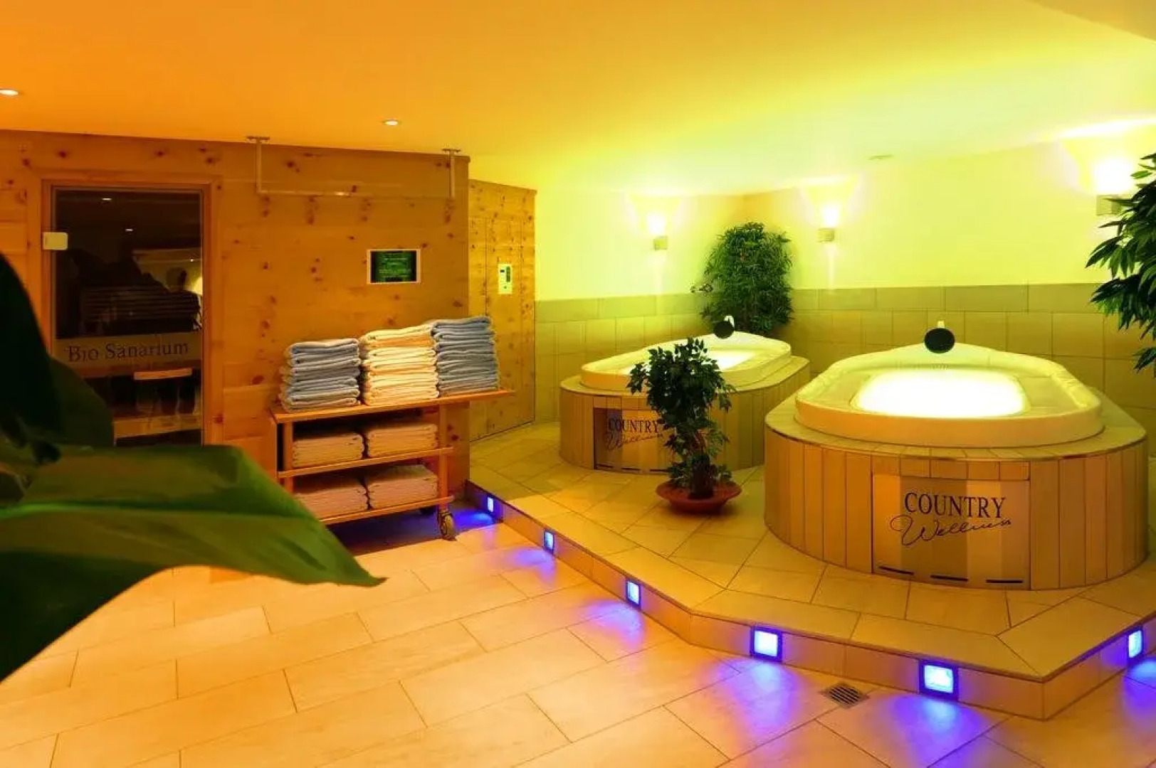 Country Wellness Bündnerhof