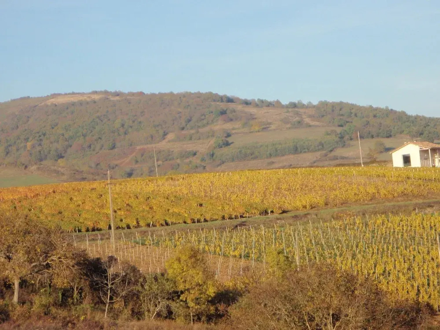 Domaine des Fonterouilles