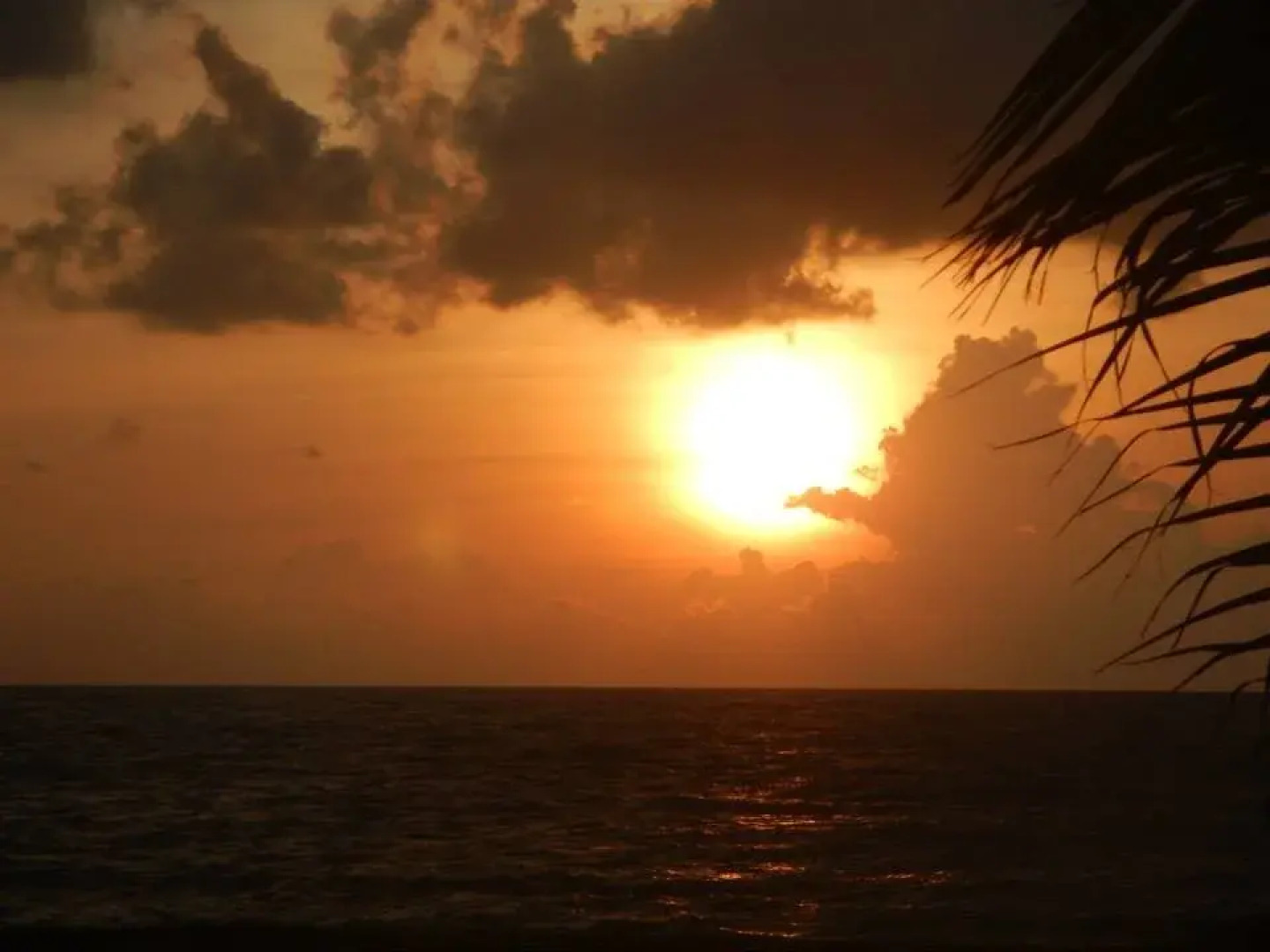 C&J Sunset View Resort