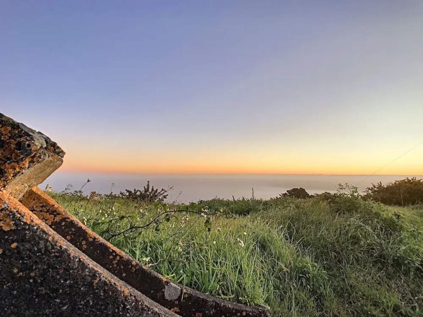 Ovelha do Sol by MHM