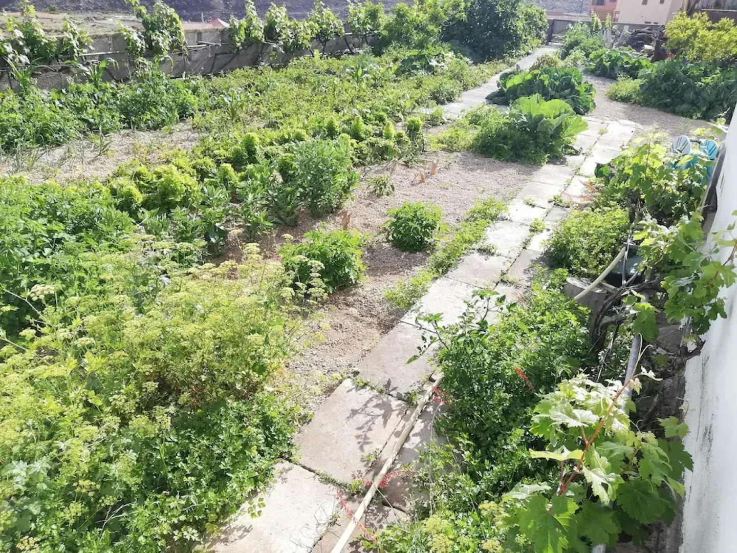 Holiday Home Emblema - Adults Only