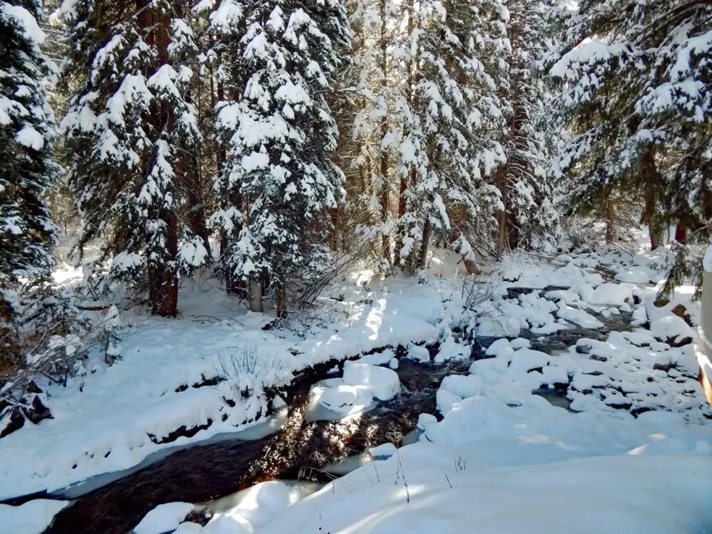 Vasquez Creek Townhomes #1