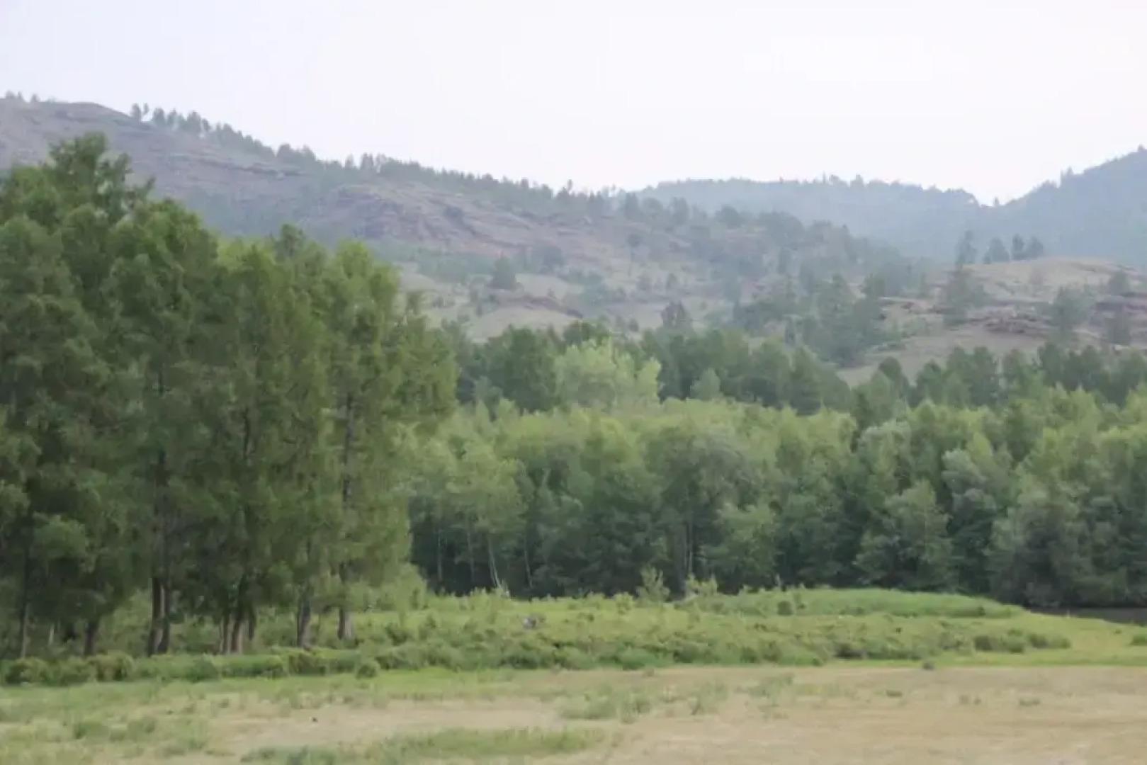 Altyin Ib Guest House	