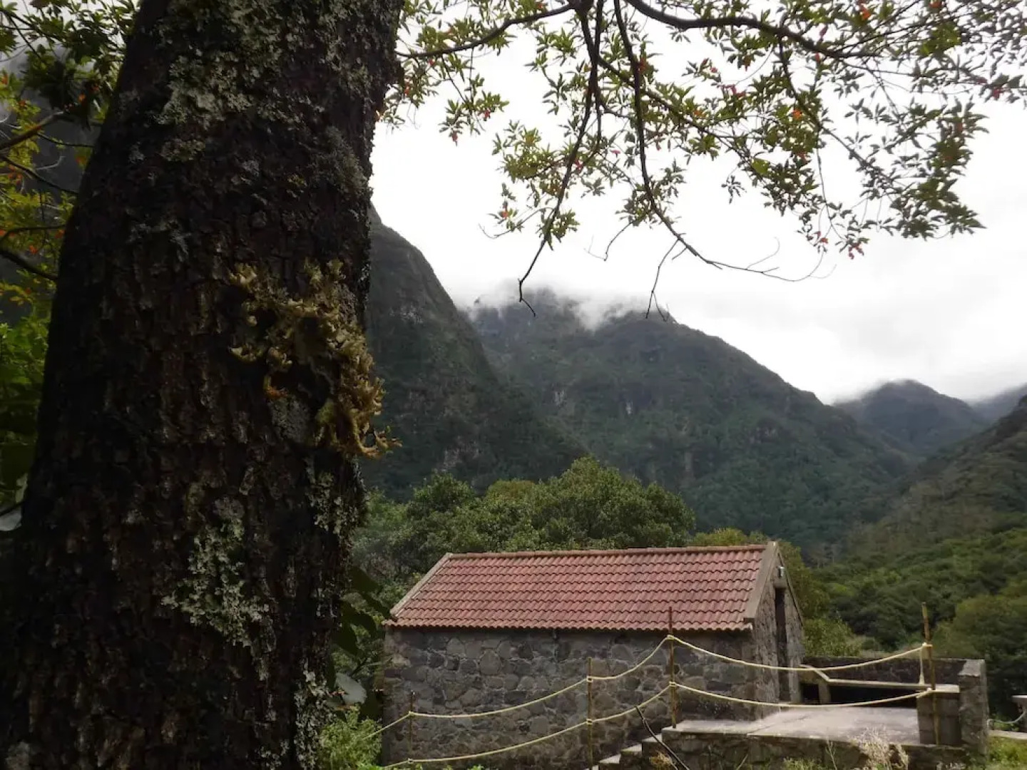 Nature inn Madeira - Glamping