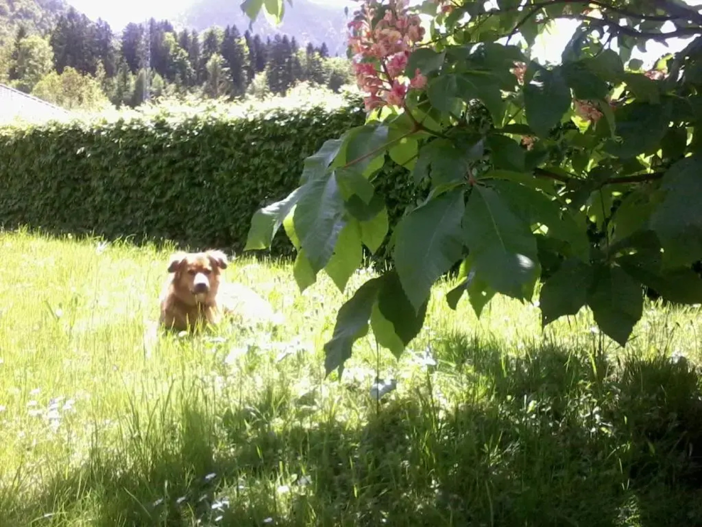 Ferienwohnung Am Pflanzgarten